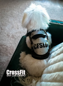 Baxter giving support to all CFSLO Athletes and to all CrossFitters doing The 2016 OPEN!!!